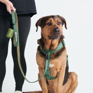 Comfort Control No-Pull Dog Harness Set – Army Green | Spark Paws No-Pull Dog Harness No-Pull Dog Harness Army Green