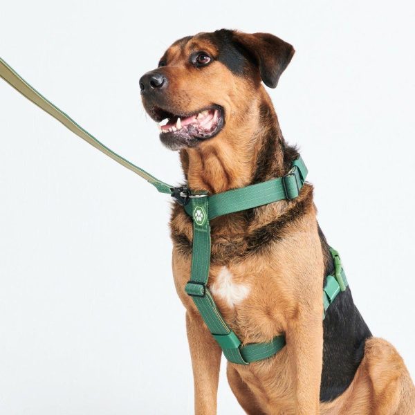 Comfort Control No-Pull Dog Harness Set – Army Green | Spark Paws No-Pull Dog Harness No-Pull Dog Harness Army Green