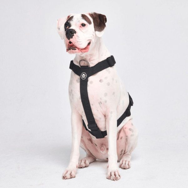 Comfort Control No-Pull Dog Harness Set – Black | Spark Paws No-Pull Dog Harness No-Pull Dog Harness Black