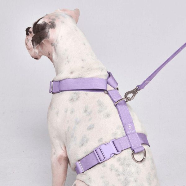 Comfort Control No-Pull Dog Harness Set – Lilac | Spark Paws No-Pull Dog Harness No-Pull Dog Harness Lilac