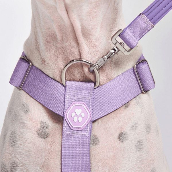 Comfort Control No-Pull Dog Harness Set – Lilac | Spark Paws No-Pull Dog Harness No-Pull Dog Harness Lilac