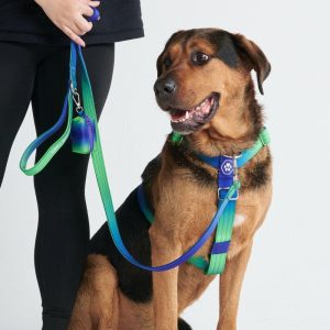 Comfort Control No-Pull Dog Harness Set – Lime Wave | Spark Paws No-Pull Dog Harness No-Pull Dog Harness Lime Wave