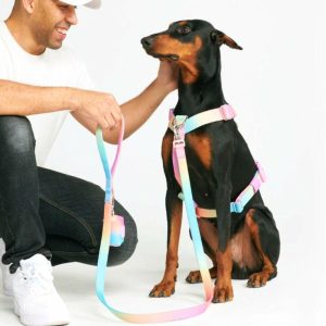 Comfort Control No-Pull Dog Harness Set – Pastel Icing | Spark Paws No-Pull Dog Harness No-Pull Dog Harness No-Pull Dog Harness