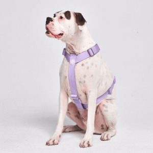 Comfort Control™ No-Pull Dog Harness – Lilac | Spark Paws No-Pull Dog Harness Walk Lilac