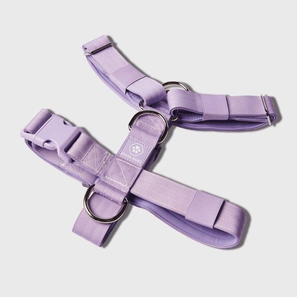 Comfort Control™ No-Pull Dog Harness – Lilac | Spark Paws No-Pull Dog Harness Walk Lilac