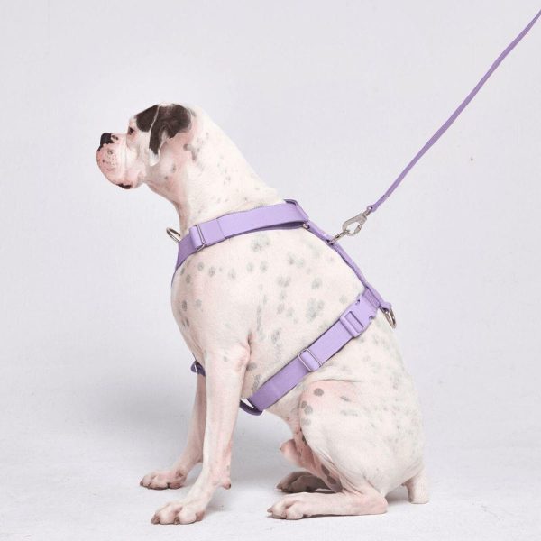 Comfort Control™ No-Pull Dog Harness – Lilac | Spark Paws No-Pull Dog Harness Walk Lilac