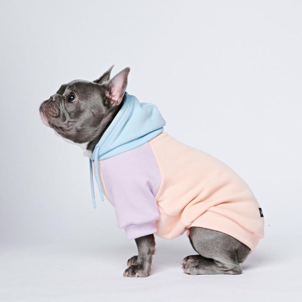 Cotton Candy Dog Hoodie | Spark Paws Dog Hoodies Dog & Owner Matching Sets Dog & Owner Matching Sets