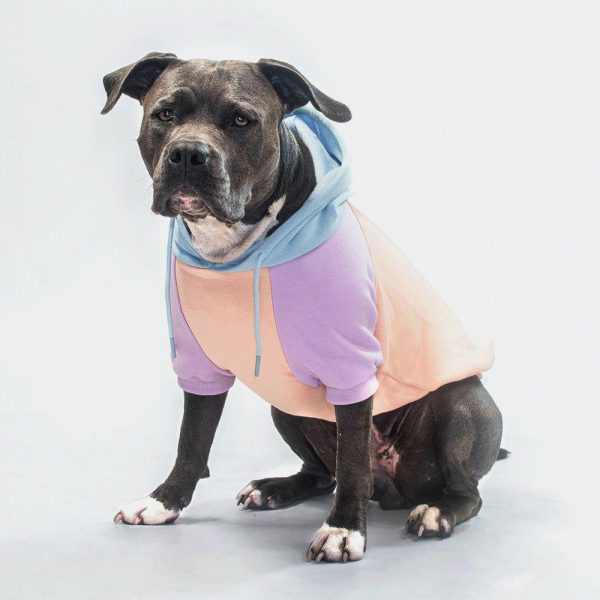 Cotton Candy Dog Hoodie | Spark Paws Dog Hoodies Dog & Owner Matching Sets Dog & Owner Matching Sets