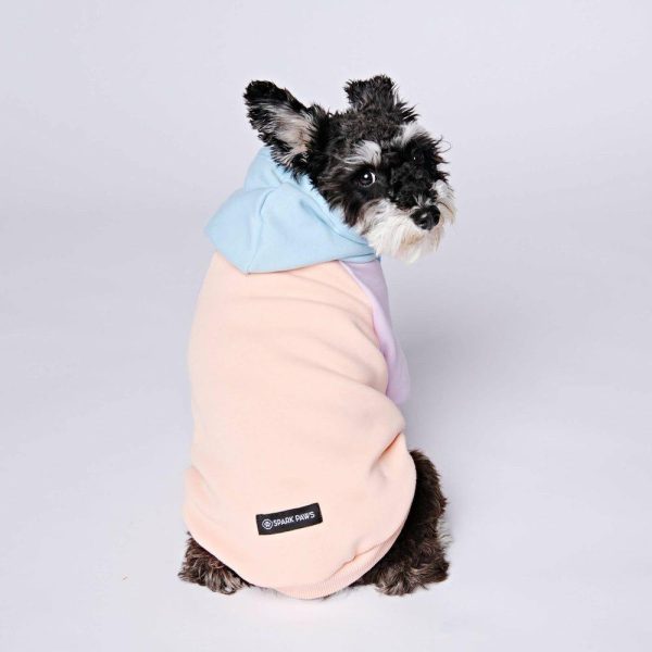 Cotton Candy Dog Hoodie | Spark Paws Dog Hoodies Dog & Owner Matching Sets Dog & Owner Matching Sets