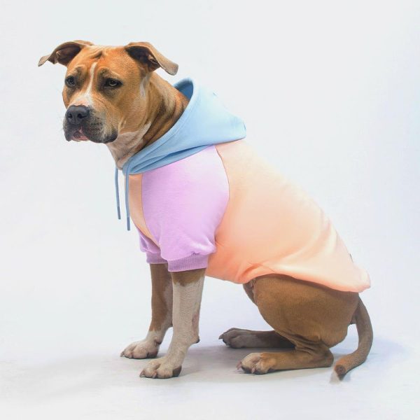 Cotton Candy Dog Hoodie | Spark Paws Dog Hoodies Dog & Owner Matching Sets Dog & Owner Matching Sets