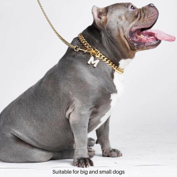 Cuban Link Chain Dog Collar – Gold | Spark Paws Cuban Link Chain Dog Collars Chains & Tags Cuban Link Chain Dog Collars