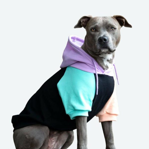 Cyber Punk Dog Hoodie | Spark Paws Dog Hoodies Dog & Owner Matching Sets Dog & Owner Matching Sets