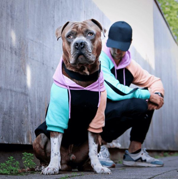 Cyber Punk Dog Hoodie | Spark Paws Dog Hoodies Dog & Owner Matching Sets Dog & Owner Matching Sets