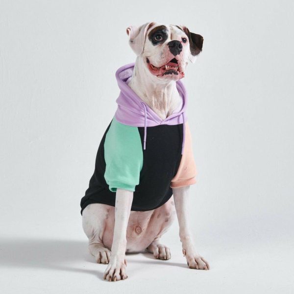 Cyber Punk Dog Hoodie | Spark Paws Dog Hoodies Dog & Owner Matching Sets Dog & Owner Matching Sets