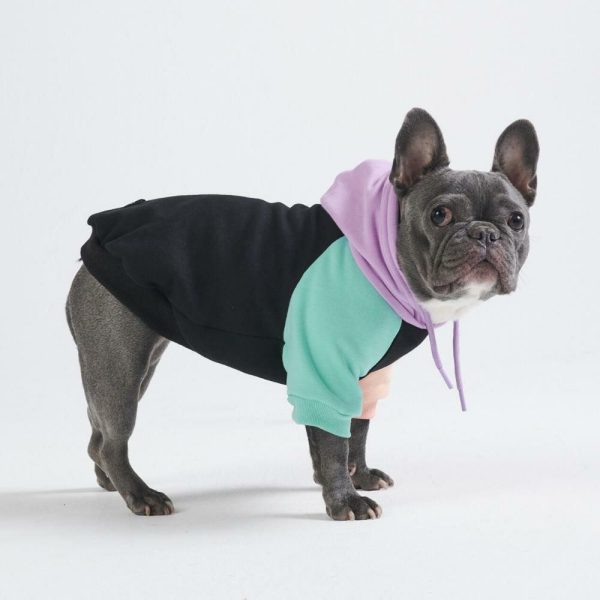 Cyber Punk Dog Hoodie | Spark Paws Dog Hoodies Dog & Owner Matching Sets Dog & Owner Matching Sets