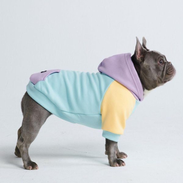 Daydream Dog Hoodie | Spark Paws Dog Hoodies Dog Hoodies Dog Hoodies