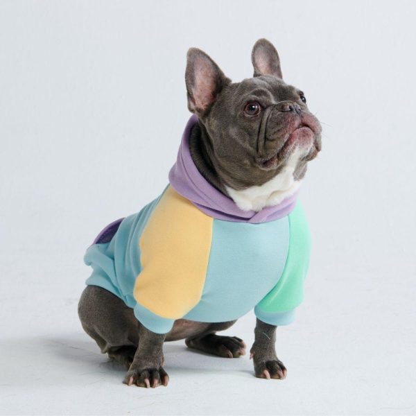 Daydream Dog Hoodie | Spark Paws Dog Hoodies Dog Hoodies Dog Hoodies