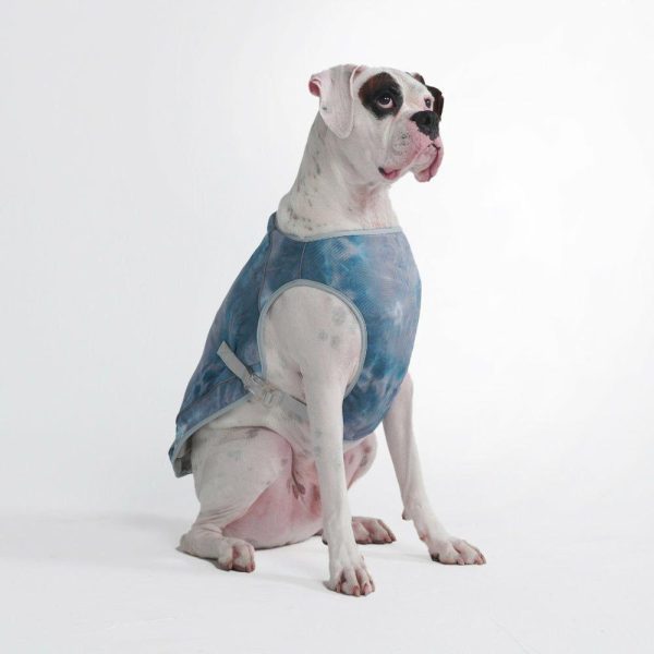 Dog Cooling Vest – Ice Blue | Spark Paws Dog Cooling Dog Cooling Dog Cooling