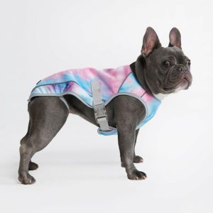 Dog Cooling Vest – Snow Cone | Spark Paws Dog Cooling Dog Cooling Dog Cooling