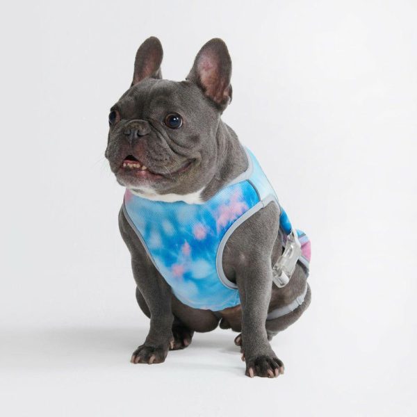 Dog Cooling Vest – Snow Cone | Spark Paws Dog Cooling Dog Cooling Dog Cooling