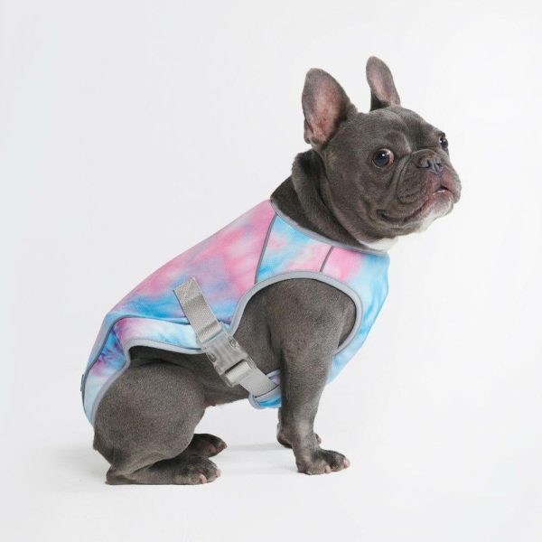 Dog Cooling Vest – Snow Cone | Spark Paws Dog Cooling Dog Cooling Dog Cooling