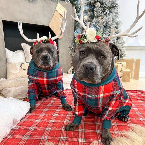 Dog Pajama – Green and Red Plaid | Spark Paws Dog Pajama Onesies Dog Pajama Onesies Dog Pajama Onesies