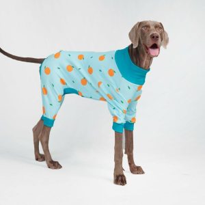 Dog Pajama – Oranges | Spark Paws Dog Pajama Onesies Dog Pajama Onesies Dog Pajama Onesies