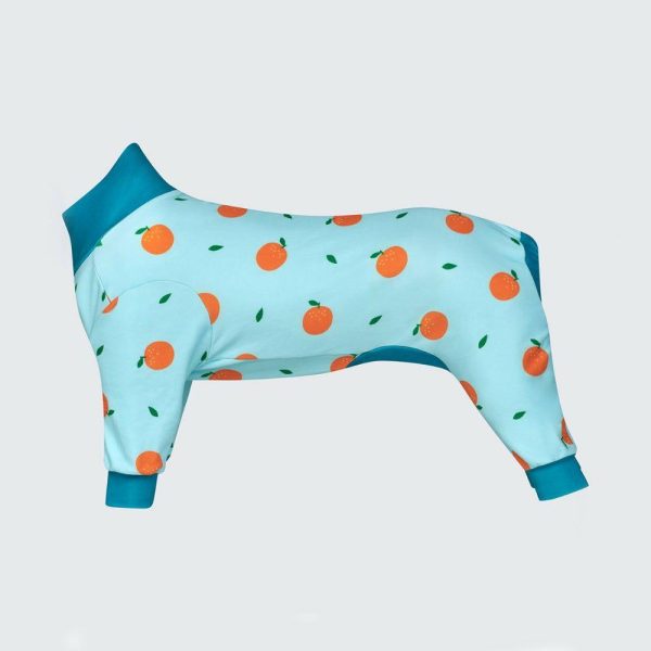 Dog Pajama – Oranges | Spark Paws Dog Pajama Onesies Dog Pajama Onesies Dog Pajama Onesies