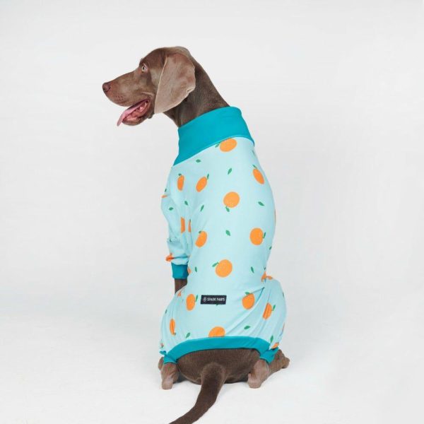 Dog Pajama – Oranges | Spark Paws Dog Pajama Onesies Dog Pajama Onesies Dog Pajama Onesies