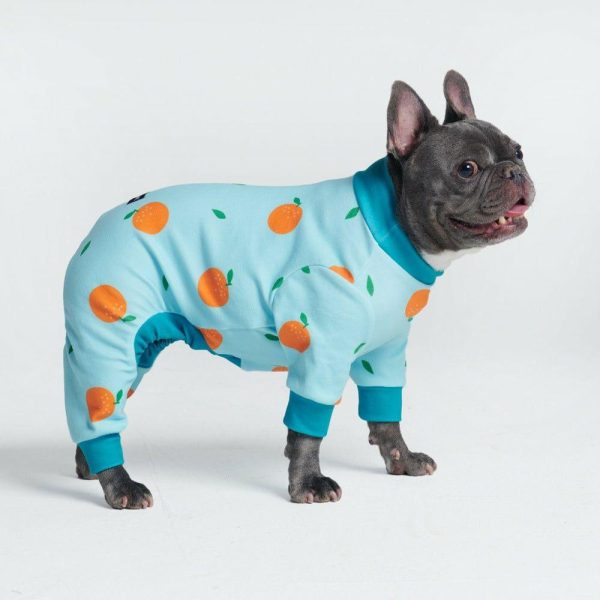 Dog Pajama – Oranges | Spark Paws Dog Pajama Onesies Dog Pajama Onesies Dog Pajama Onesies