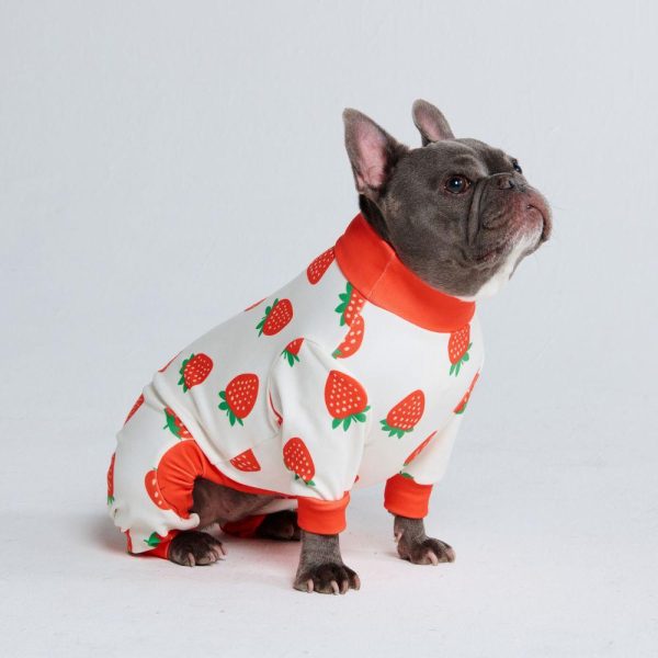 Dog Pajama – Strawberries | Spark Paws Dog Pajama Onesies Dog Pajama Onesies Dog Pajama Onesies