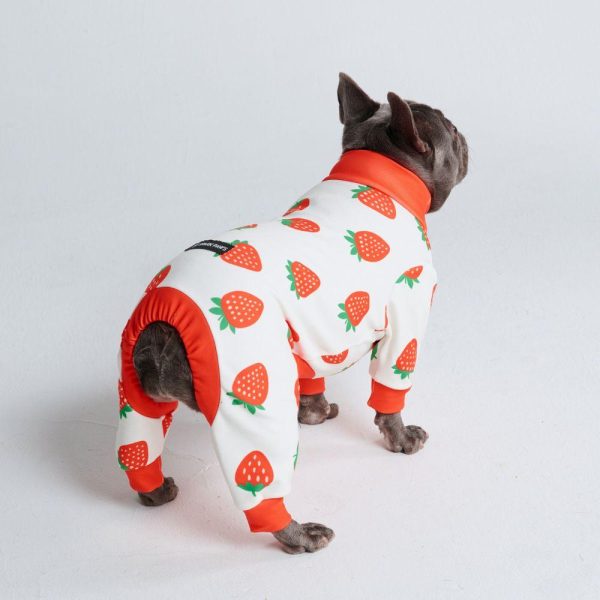 Dog Pajama – Strawberries | Spark Paws Dog Pajama Onesies Dog Pajama Onesies Dog Pajama Onesies