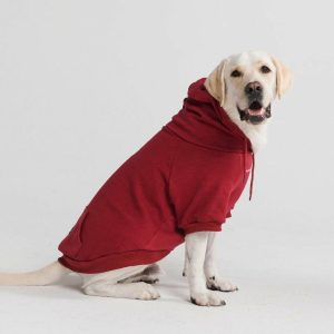 Essential Dog Hoodie – Burgundy | Spark Paws Dog and Owner Matching Sets Dog & Owner Matching Sets Burgundy