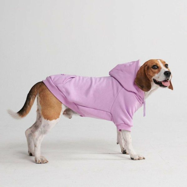 Essential Dog Hoodie – Orchid Purple | Spark Paws Dog and Owner Matching Sets Dog & Owner Matching Sets Dog & Owner Matching Sets