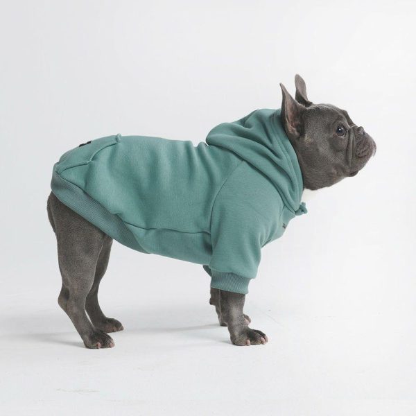 Essential Dog Hoodie – Teal | Spark Paws Dog and Owner Matching Sets Dog & Owner Matching Sets Dog & Owner Matching Sets