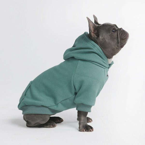 Essential Dog Hoodie – Teal | Spark Paws Dog and Owner Matching Sets Dog & Owner Matching Sets Dog & Owner Matching Sets