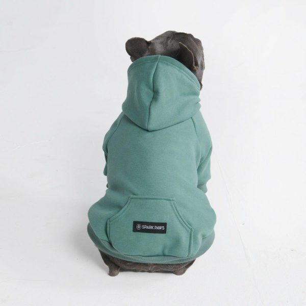 Essential Dog Hoodie – Teal | Spark Paws Dog and Owner Matching Sets Dog & Owner Matching Sets Dog & Owner Matching Sets