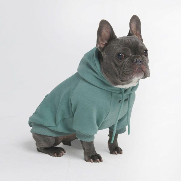 Essential Dog Hoodie – Teal | Spark Paws Dog and Owner Matching Sets Dog & Owner Matching Sets Dog & Owner Matching Sets