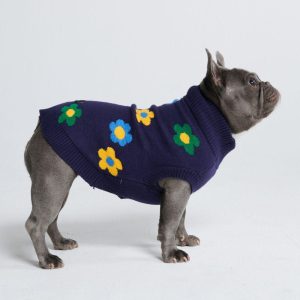 Flower Knit Dog Sweater – Blue Green Yellow | Spark Paws Dog Knit Sweaters Dog Knit Sweaters Blue Green Yellow