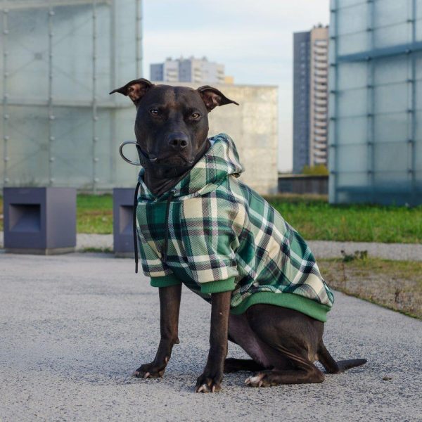 Green Plaid Dog Hoodie | Spark Paws Dog Hoodies Dog & Owner Matching Sets Dog & Owner Matching Sets