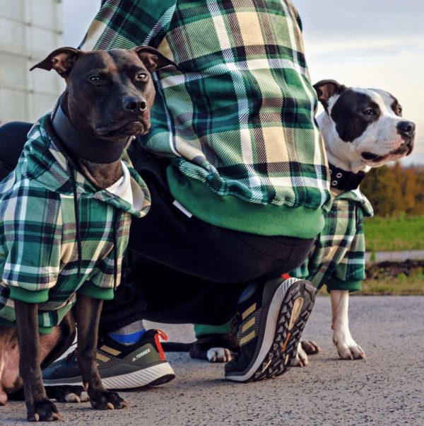 Green Plaid Dog Hoodie | Spark Paws Dog Hoodies Dog & Owner Matching Sets Dog & Owner Matching Sets