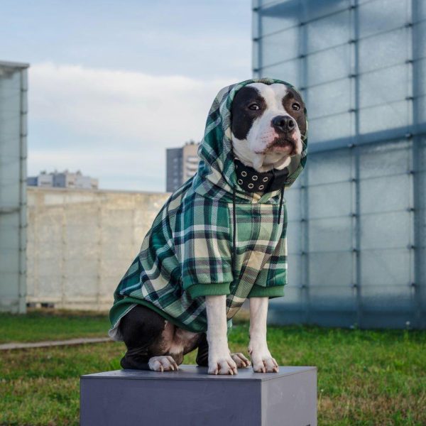 Green Plaid Dog Hoodie | Spark Paws Dog Hoodies Dog & Owner Matching Sets Dog & Owner Matching Sets