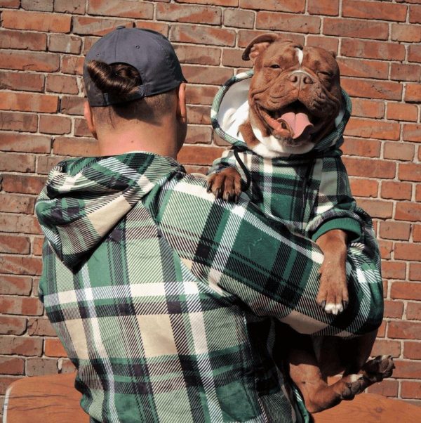 Green Plaid Human Hoodie | Spark Paws Dog and Owner Matching Sets Dog & Owner Matching Sets Dog & Owner Matching Sets