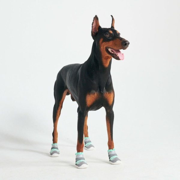 Hot Pavement Pawtector Dog Shoes – Teal | Spark Paws Dog Shoe & Boots Dog Shoe & Boots Dog Shoe & Boots