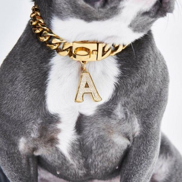 Initial Letter Jewelry Tag – A | Spark Paws Letter Jewelry Dog Tags Chains & Tags Gold