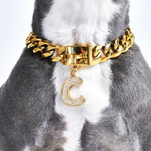 Initial Letter Jewelry Tag – C | Spark Paws Letter Jewelry Dog Tags Chains & Tags Gold