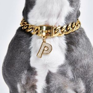 Initial Letter Jewelry Tag – P | Spark Paws Letter Jewelry Dog Tags Chains & Tags Gold