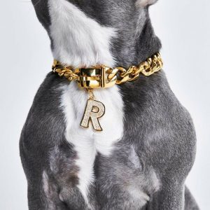 Initial Letter Jewelry Tag – R | Spark Paws Letter Jewelry Dog Tags Chains & Tags Gold