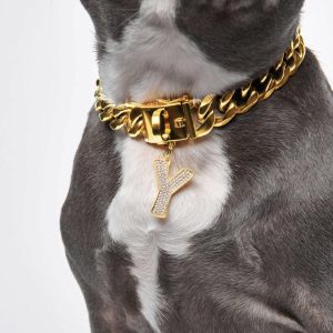 Initial Letter Jewelry Tag – Y | Spark Paws Letter Jewelry Dog Tags Chains & Tags Gold