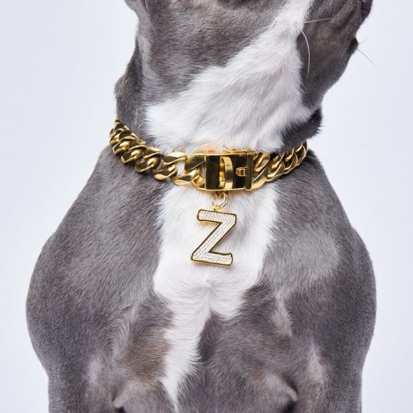 Initial Letter Jewelry Tag – Z | Spark Paws Letter Jewelry Dog Tags Chains & Tags Gold